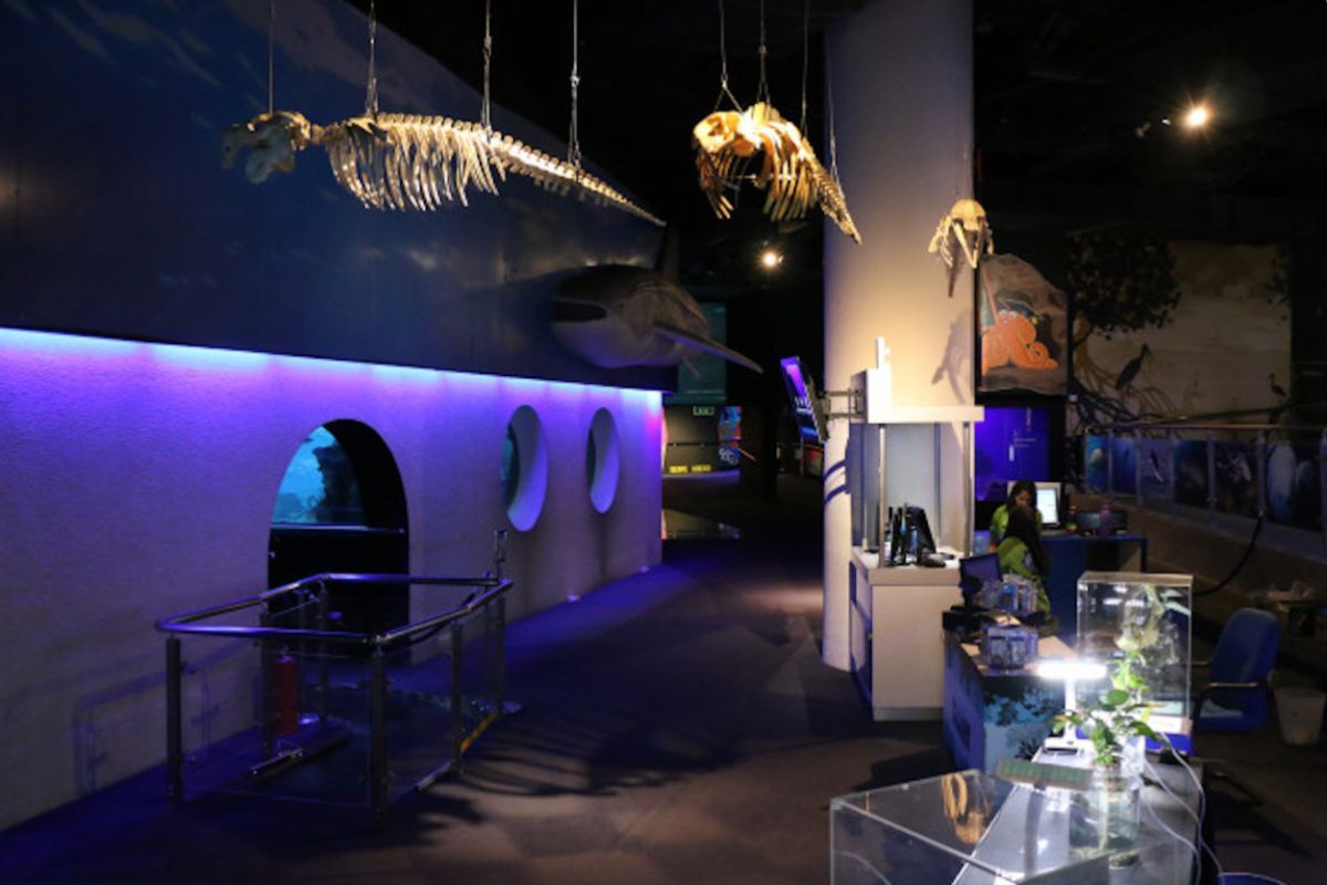 Aquaria KLCC