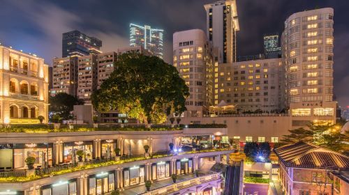 Harbour Cruise - Bauhinia