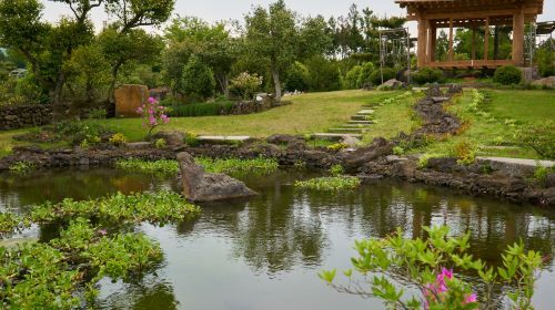 Camellia Hill Botanical Garden Admission