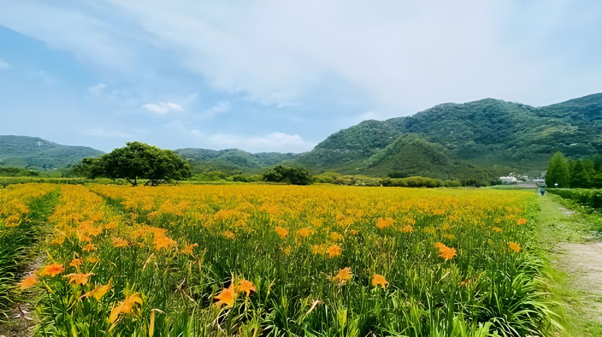 Taichung