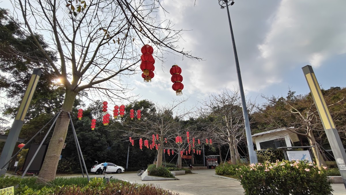 Chiny