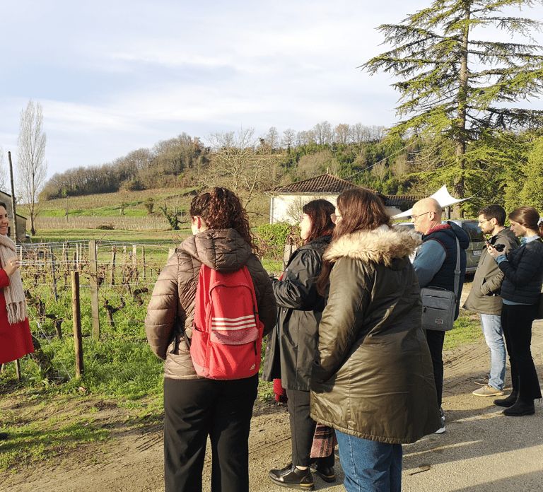 From Bordeaux: Saint-Émilion Half-Day Tour with Wine…