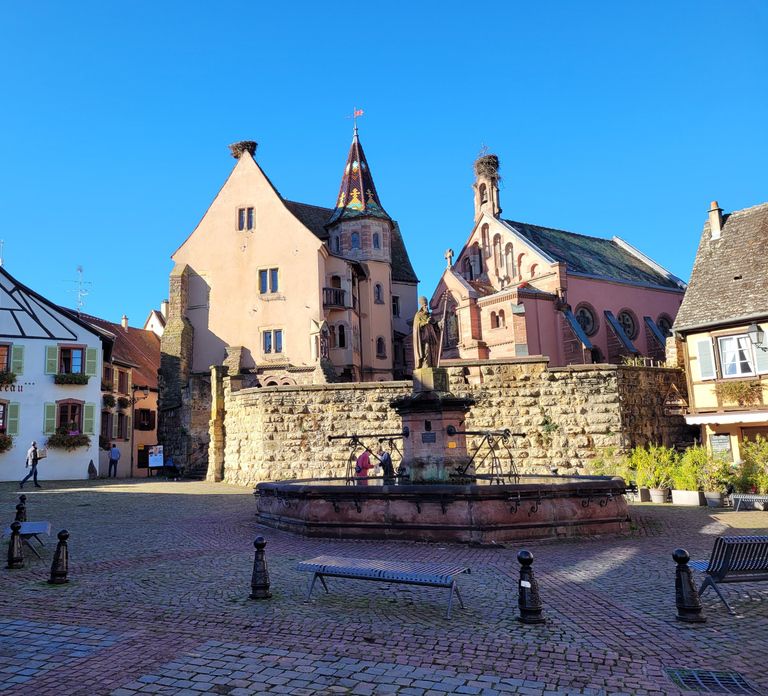 From Colmar: Alsace wine route tour Half Day